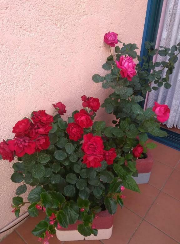 Houri's Appartement *