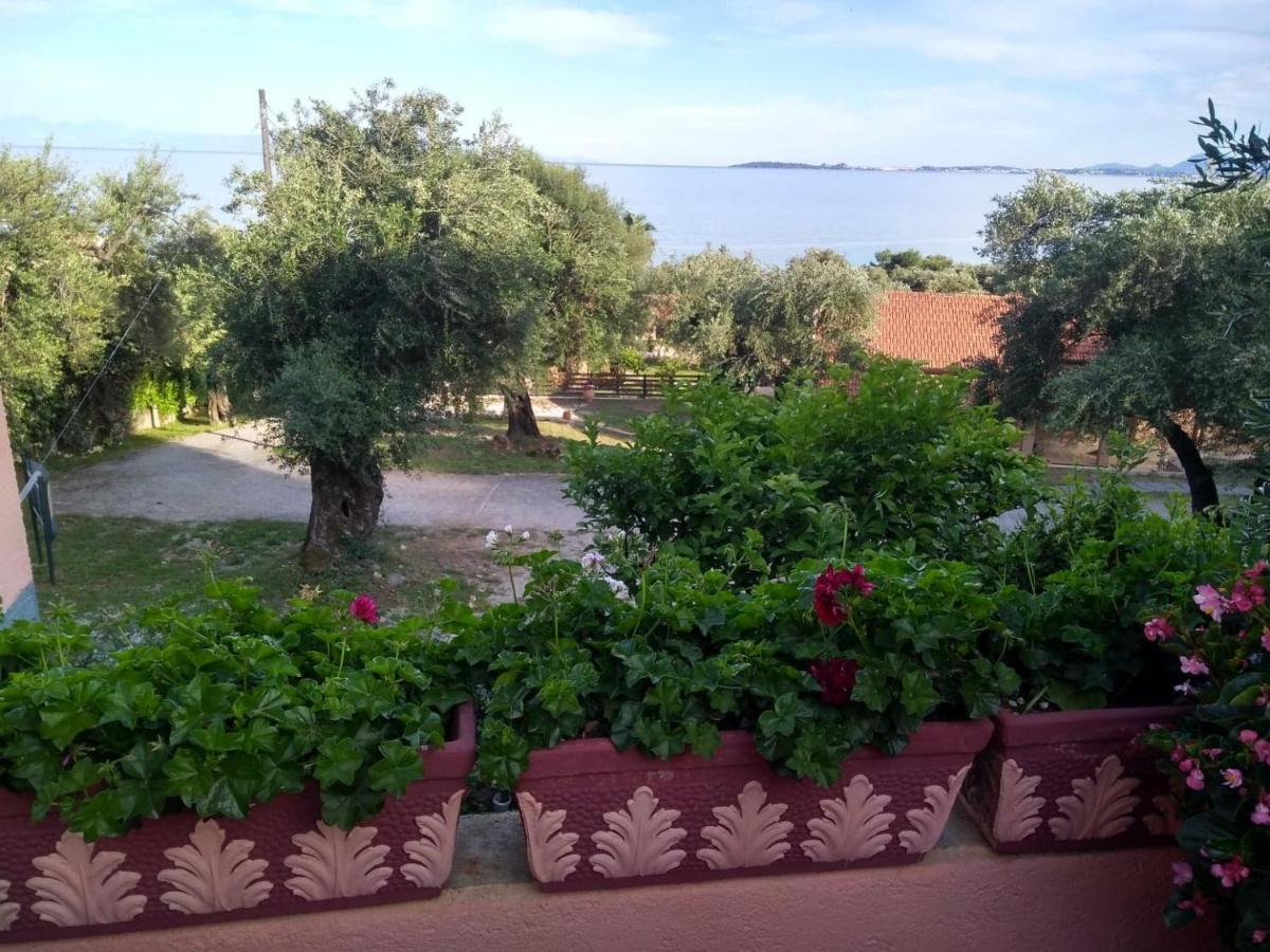 Appartement Houri's